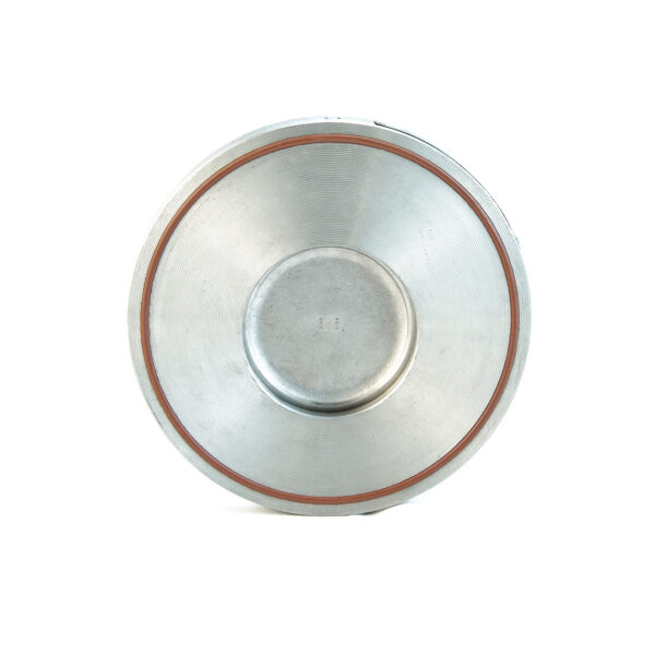 Wafer Swing Non-Return Valve