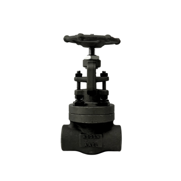 BSP Cl800 Globe Valve A105 Forged Steel Body, F6 Trim at bm engineering supplies