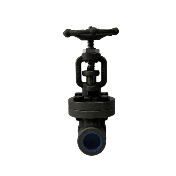 BSP Cl800 Globe Valve A105 Forged Steel Body, F6 Trim at bm engineering supplies