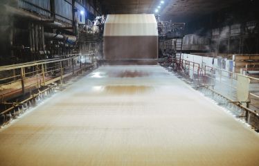 pulp & paper process solutions