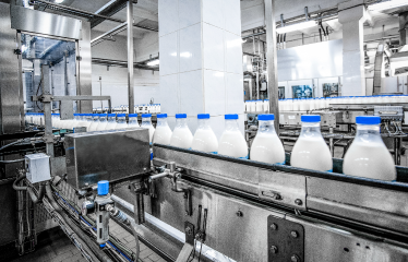 Dairy production in a factory