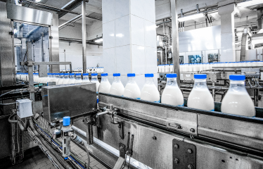 Dairy Production