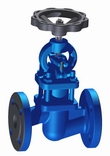 Double block and bleed globe valves for steam isolation