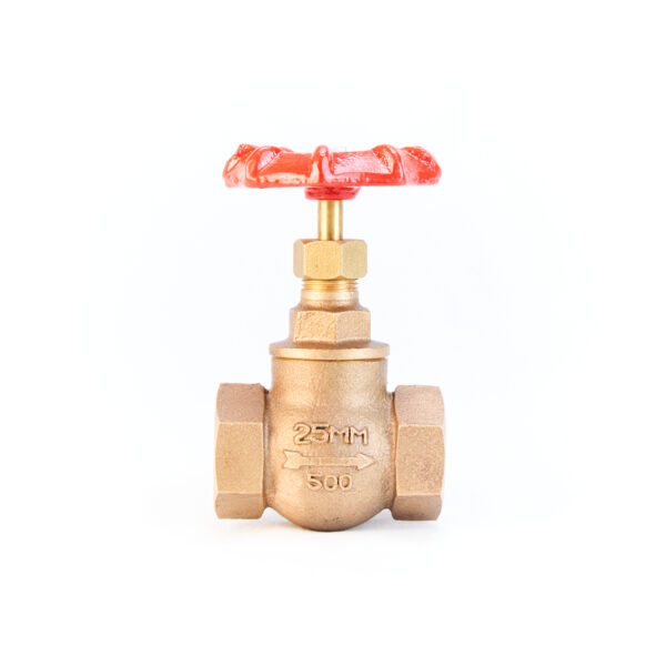 Bronze Globe Valve - PN32