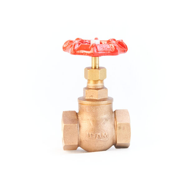 Bronze Globe Valve - PN32