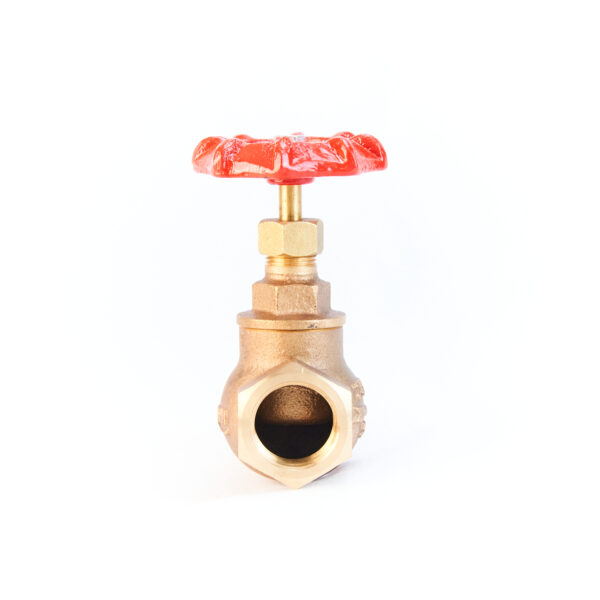 Bronze Globe Valve - PN32