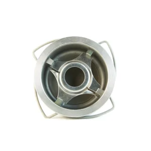 Wafer Check Valves