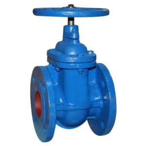 Flanged Gate Valves