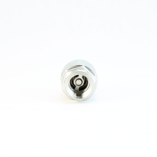 Screwed BSP Barrel Type Spring Check Valve