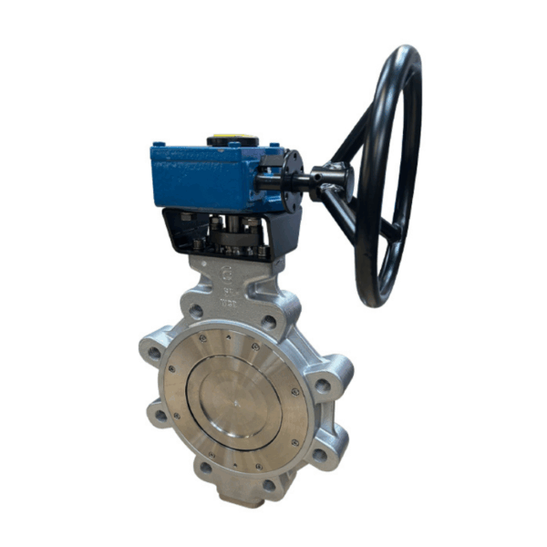 Lugged double offset valve